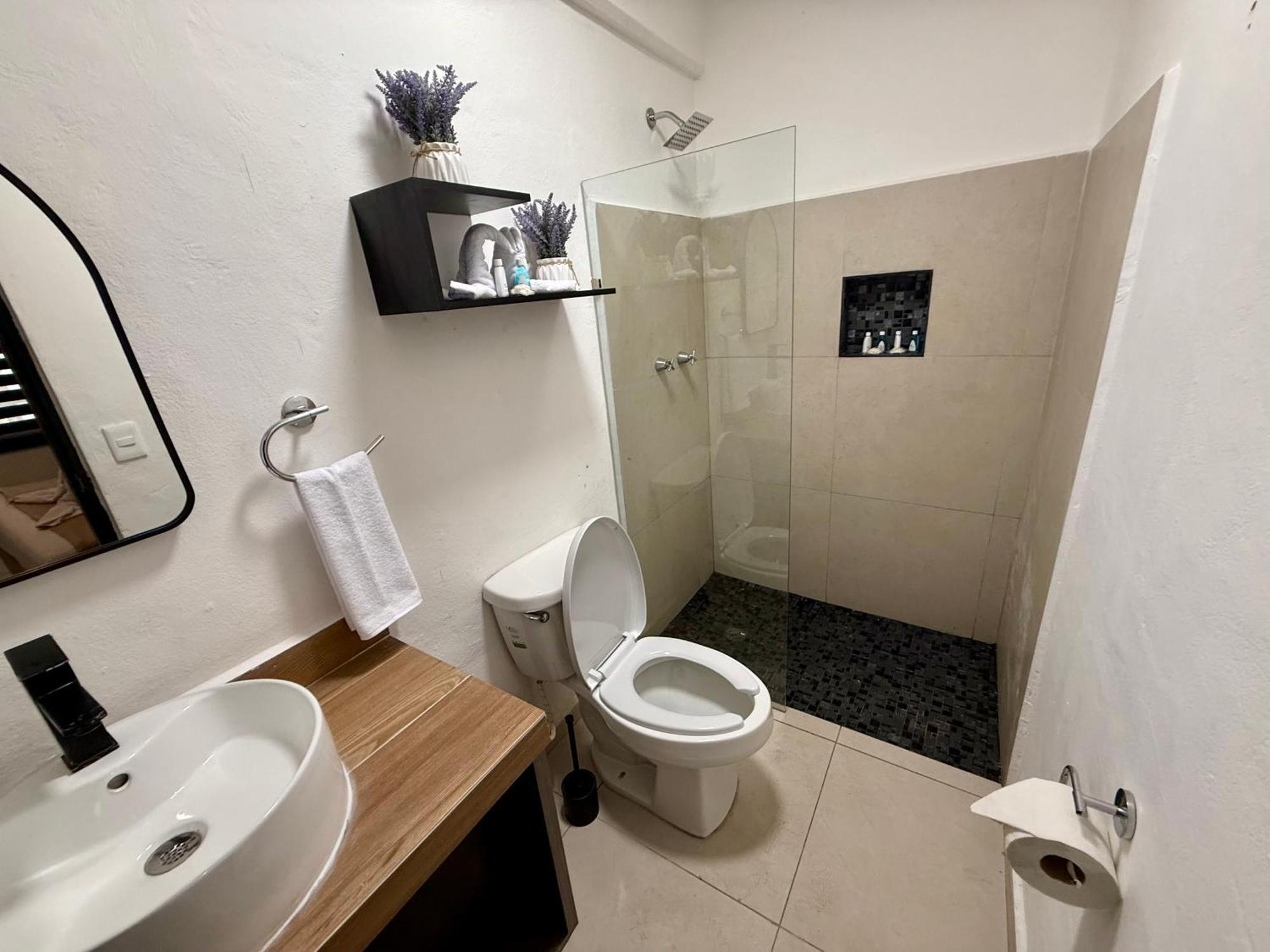 Casa Tortuga 5Th Ave Ξενοδοχείο Πλάγια Ντελ Κάρμεν Εξωτερικό φωτογραφία