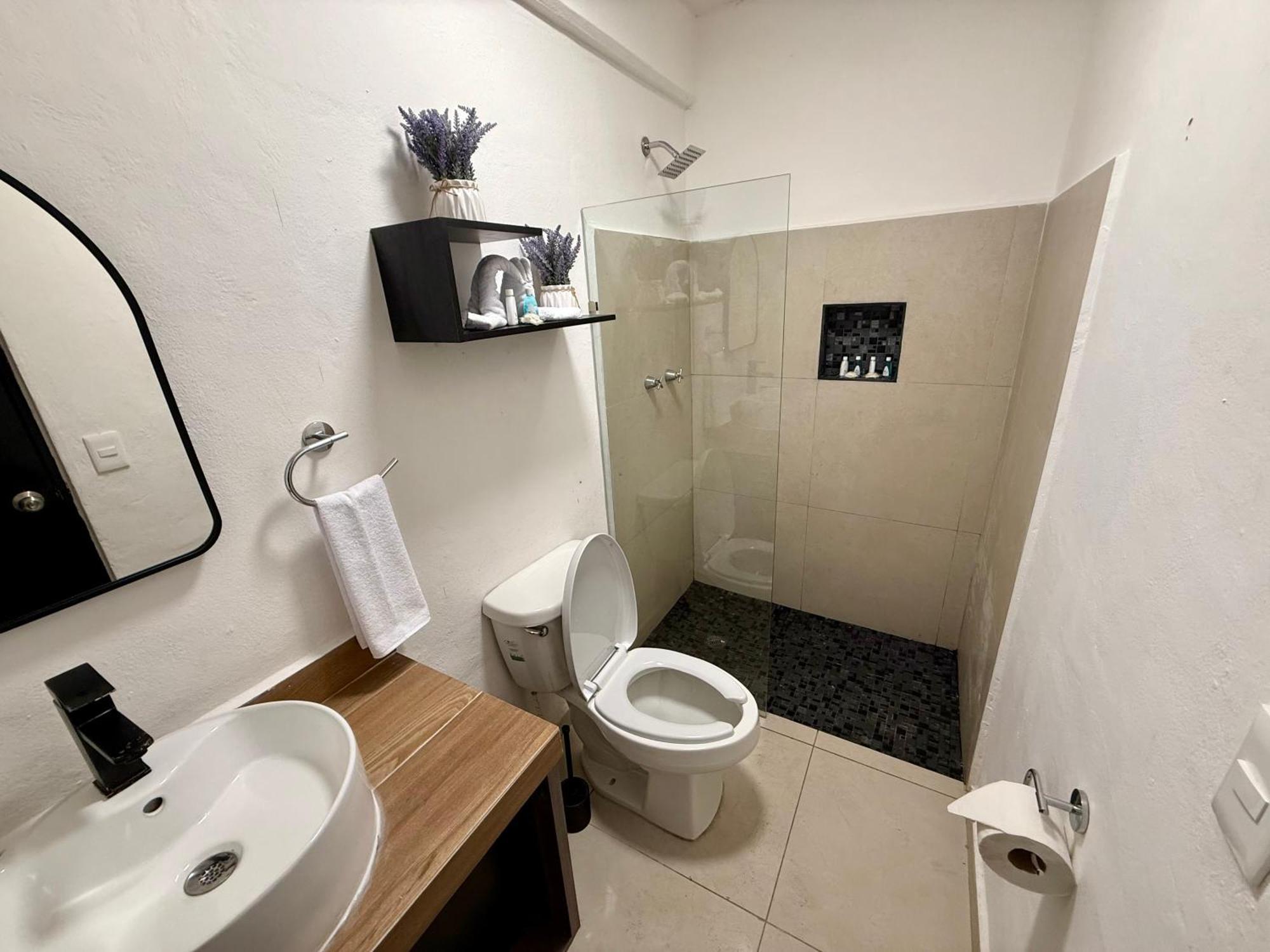 Casa Tortuga 5Th Ave Ξενοδοχείο Πλάγια Ντελ Κάρμεν Εξωτερικό φωτογραφία