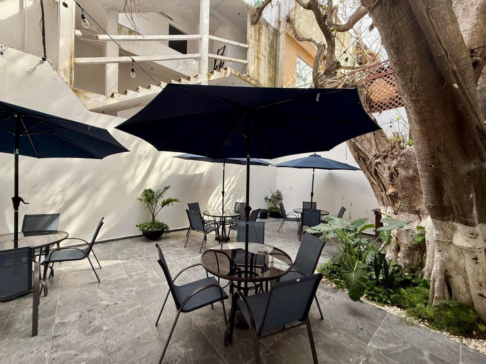 Casa Tortuga 5Th Ave Ξενοδοχείο Πλάγια Ντελ Κάρμεν Εξωτερικό φωτογραφία